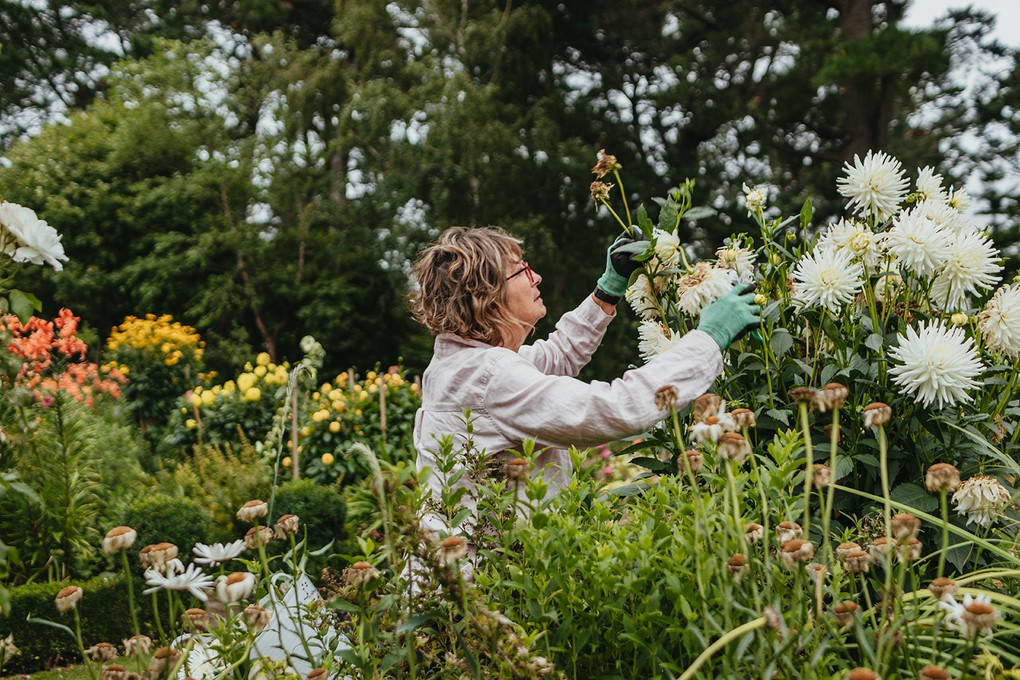 Editorial photography for Sage Journal